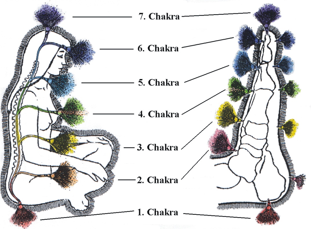 meditation circle walk